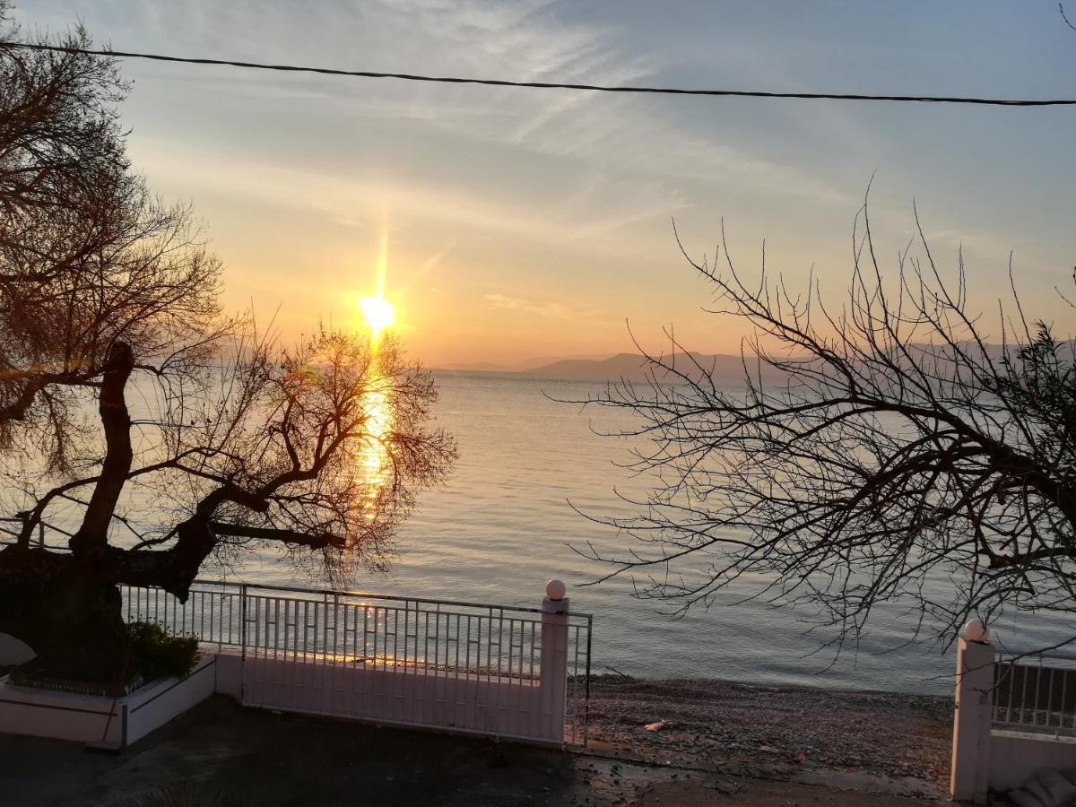 Akrogiali Agiokampos  Bagian luar foto
