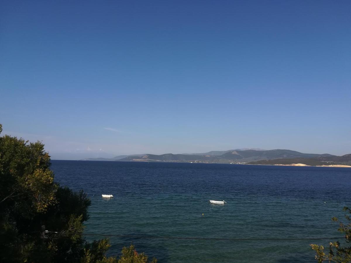 Akrogiali Agiokampos  Bagian luar foto